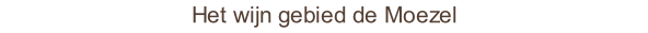 Het wijn gebied de Moezel 